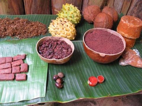 Recorrido de plantas medicinales y chocolate Bribri Costa Rica
